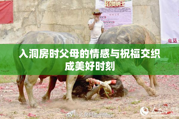 入洞房时父母的情感与祝福交织成美好时刻
