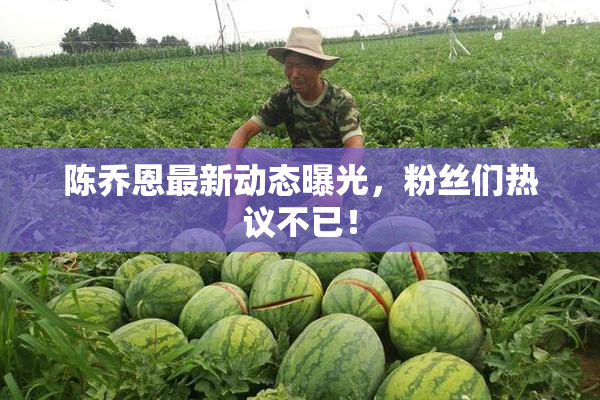 陈乔恩最新动态曝光，粉丝们热议不已！