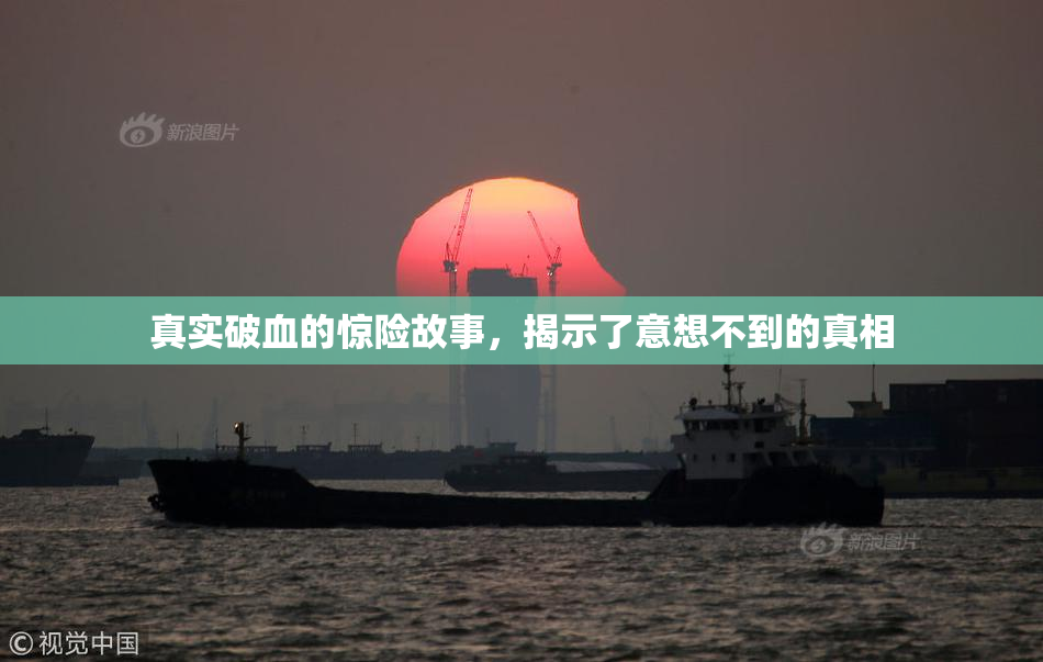 真实破血的惊险故事，揭示了意想不到的真相