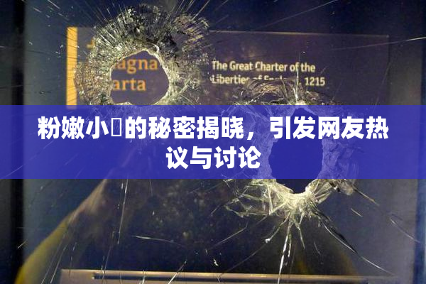 粉嫩小泬的秘密揭晓，引发网友热议与讨论