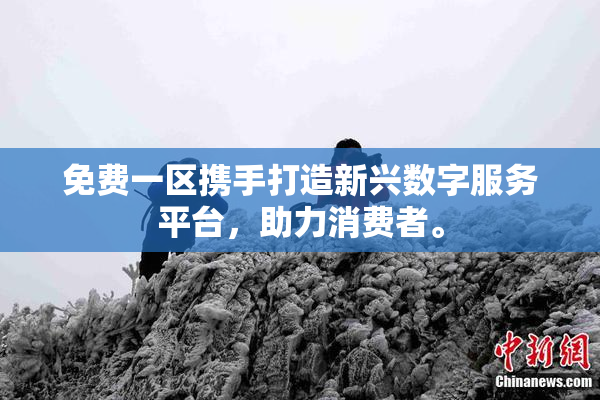 免费一区携手打造新兴数字服务平台，助力消费者。