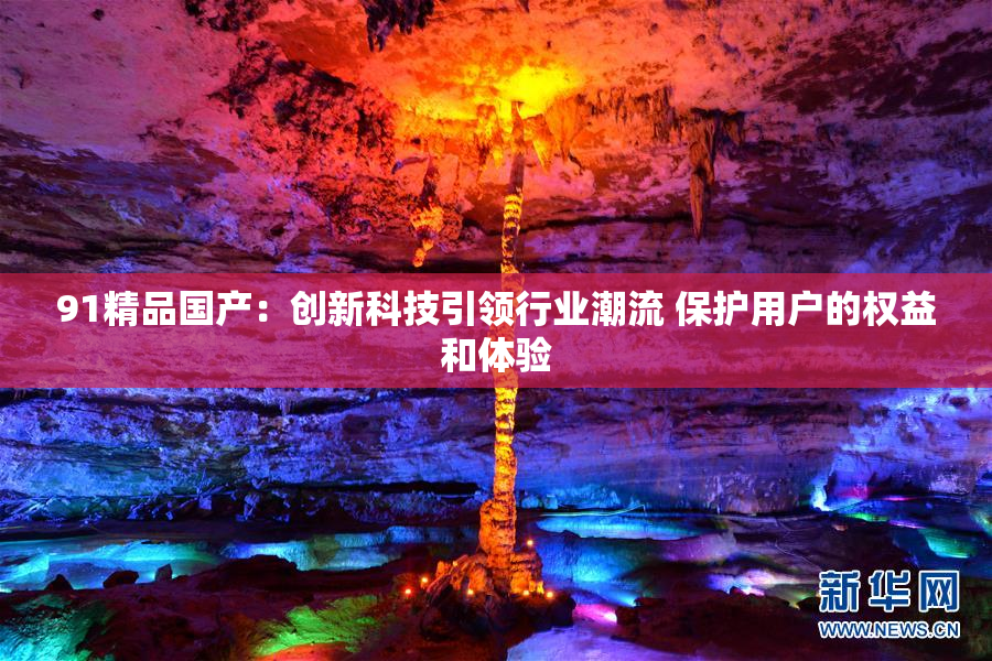 91精品国产：创新科技引领行业潮流 保护用户的权益和体验