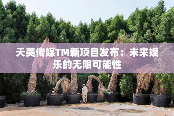 天美传媒TM新项目发布：未来娱乐的无限可能性