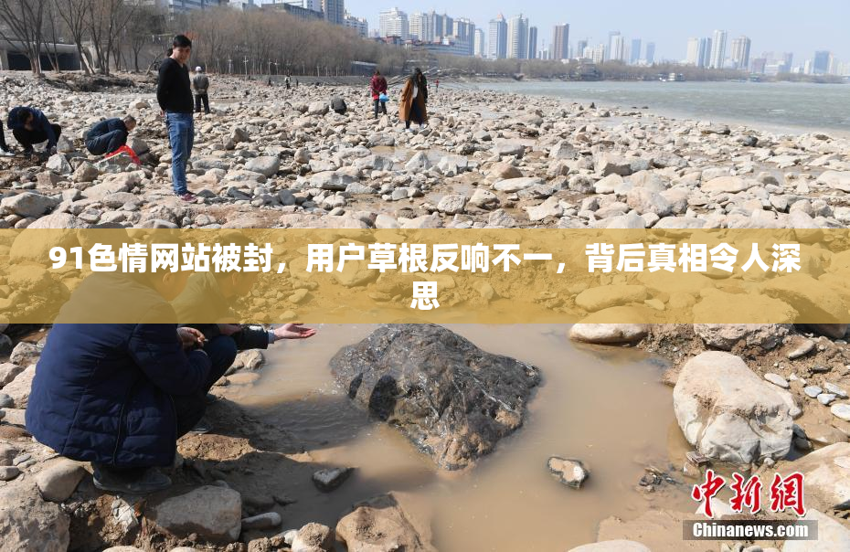 91色情网站被封，用户草根反响不一，背后真相令人深思