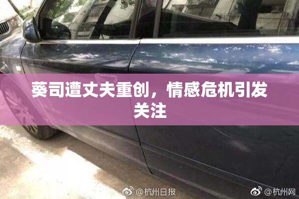 葵司遭丈夫重创，情感危机引发关注