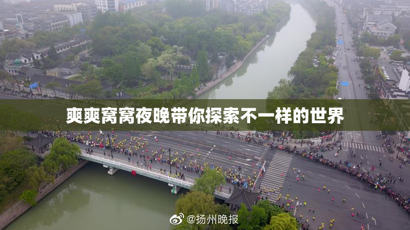 爽爽窝窝夜晚带你探索不一样的世界