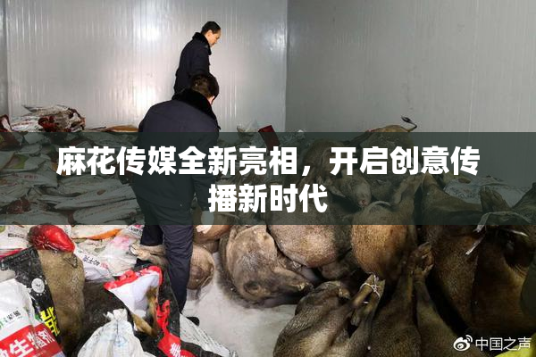 麻花传媒全新亮相，开启创意传播新时代