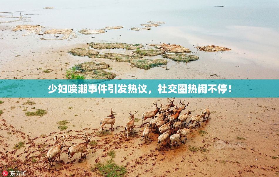 少妇喷潮事件引发热议，社交圈热闹不停！