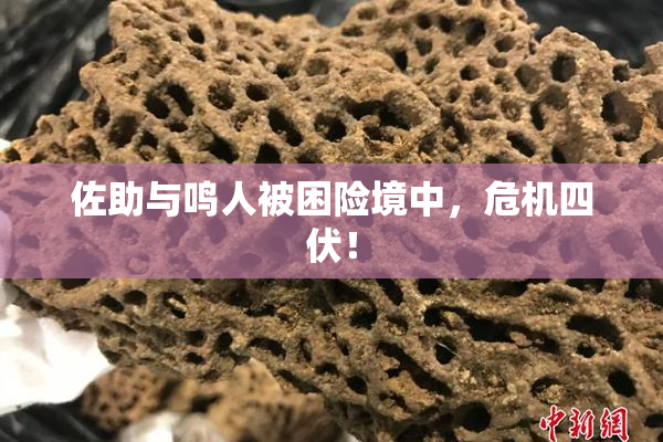 佐助与鸣人被困险境中，危机四伏！