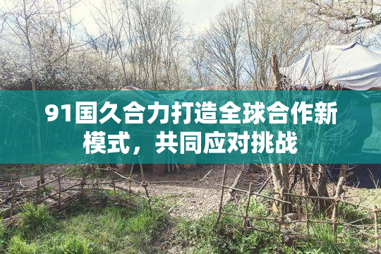 91国久合力打造全球合作新模式，共同应对挑战