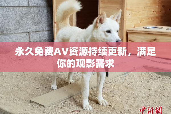 永久免费AV资源持续更新，满足你的观影需求