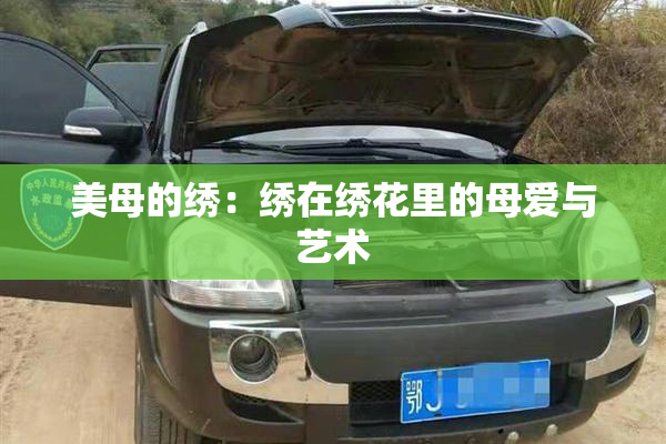 美母的绣：绣在绣花里的母爱与艺术