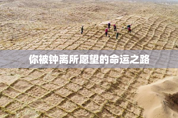你被钟离所愿望的命运之路