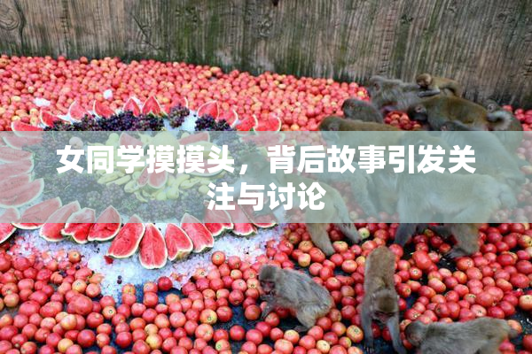 女同学摸摸头，背后故事引发关注与讨论