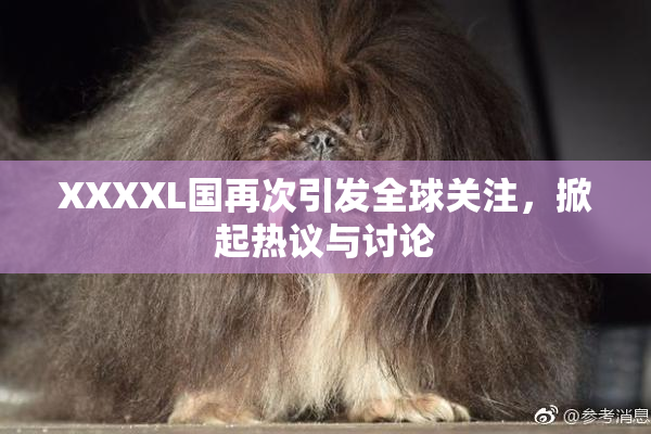 XXXXL国再次引发全球关注，掀起热议与讨论