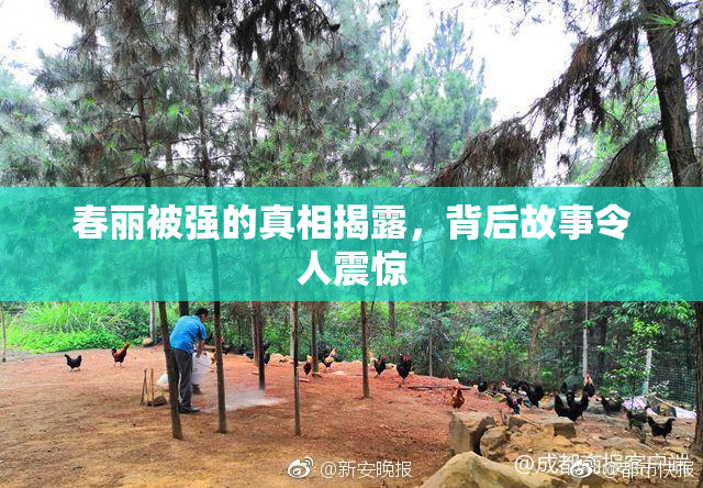 春丽被强的真相揭露，背后故事令人震惊