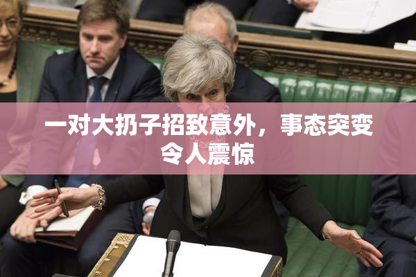 一对大扔子招致意外，事态突变令人震惊
