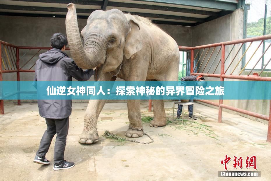 仙逆女神同人：探索神秘的异界冒险之旅