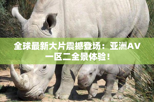全球最新大片震撼登场：亚洲AV一区二全景体验！