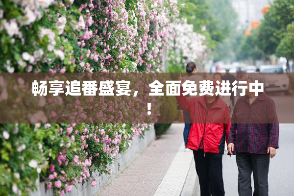 畅享追番盛宴，全面免费进行中！