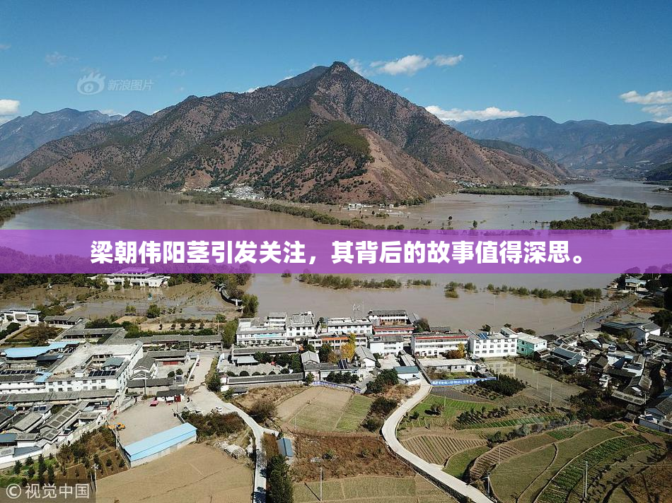 梁朝伟阳茎引发关注，其背后的故事值得深思。