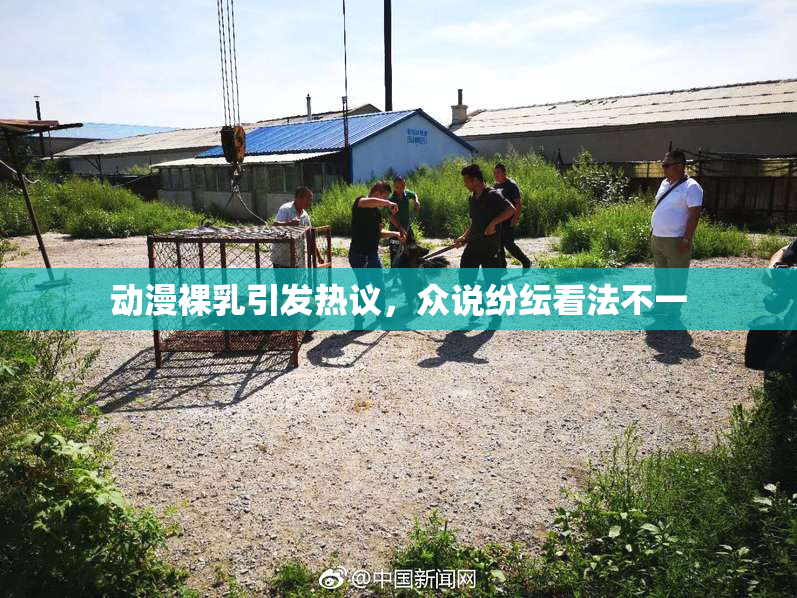 动漫裸乳引发热议，众说纷纭看法不一