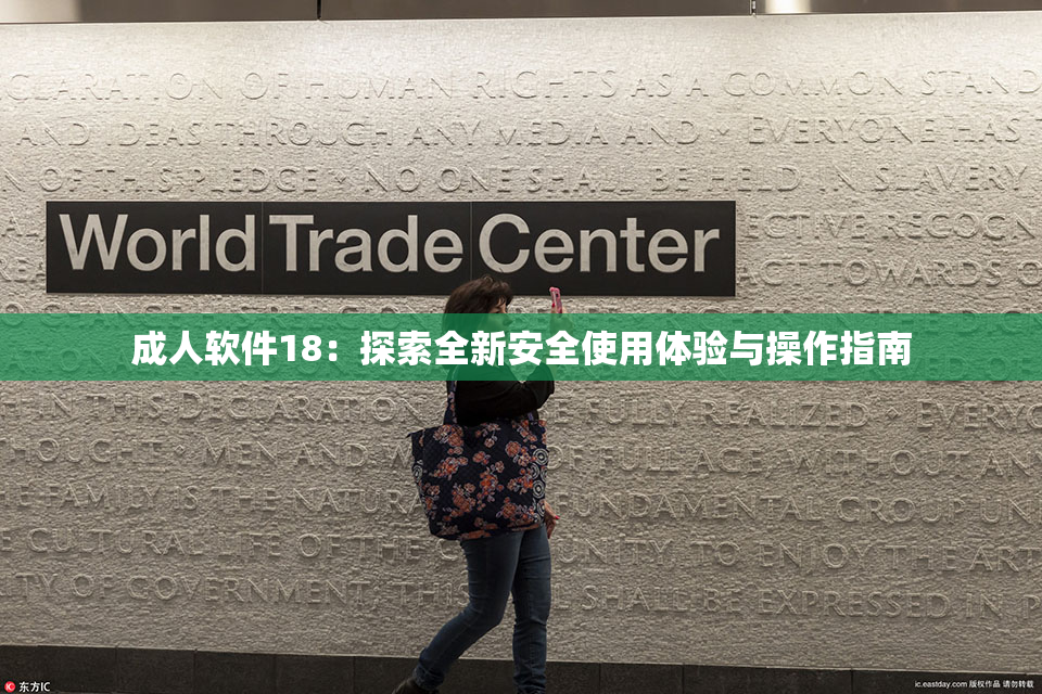 成人软件18：探索全新安全使用体验与操作指南