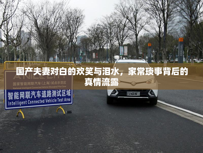 国产夫妻对白的欢笑与泪水，家常琐事背后的真情流露