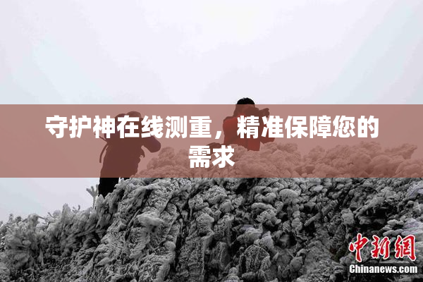 守护神在线测重，精准保障您的需求