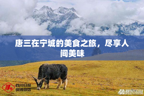 唐三在宁城的美食之旅，尽享人间美味