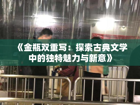 《金瓶双重写：探索古典文学中的独特魅力与新意》