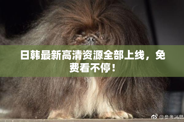 日韩最新高清资源全部上线，免费看不停！