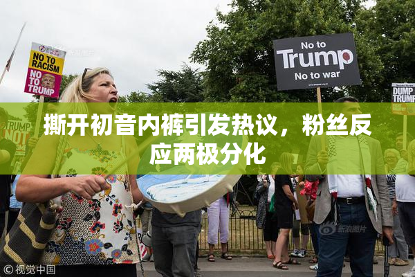 撕开初音内裤引发热议，粉丝反应两极分化