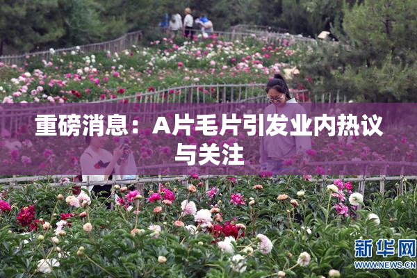 重磅消息：A片毛片引发业内热议与关注