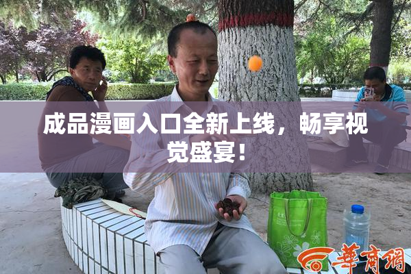 成品漫画入口全新上线，畅享视觉盛宴！