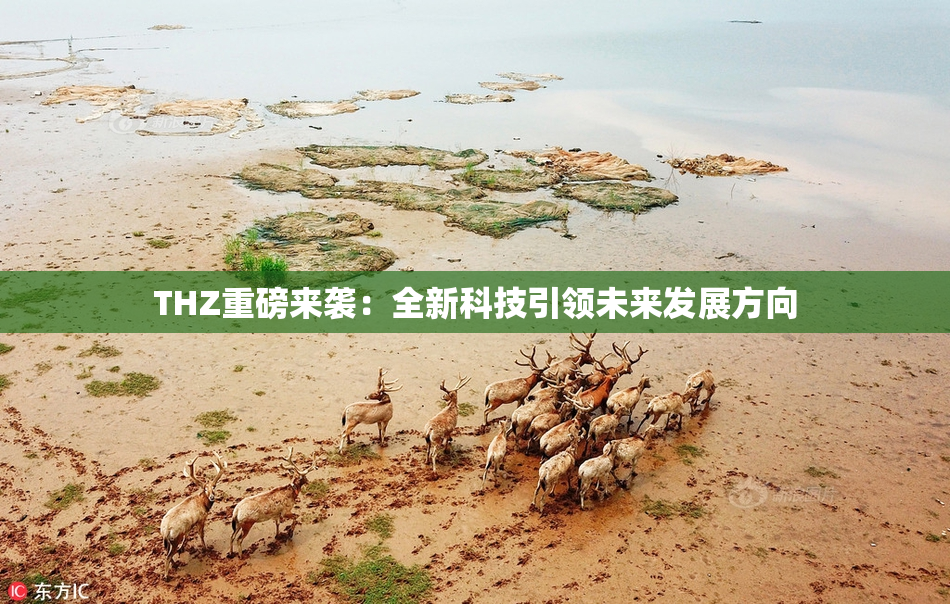 THZ重磅来袭：全新科技引领未来发展方向