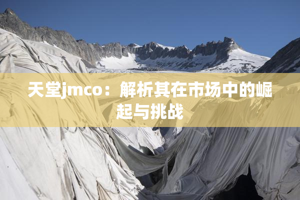 天堂jmco：解析其在市场中的崛起与挑战