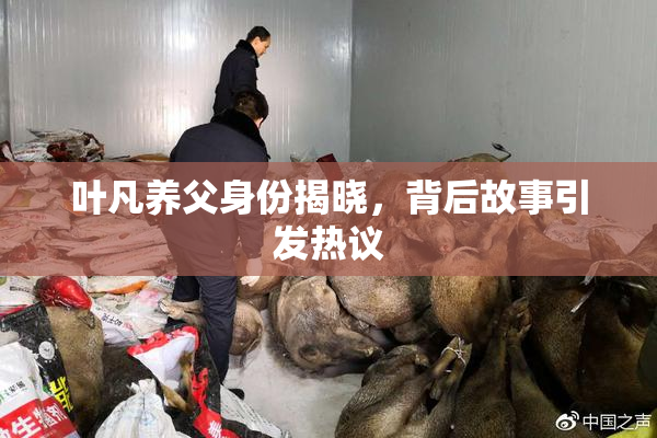 叶凡养父身份揭晓，背后故事引发热议