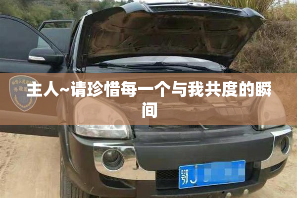 主人~请珍惜每一个与我共度的瞬间