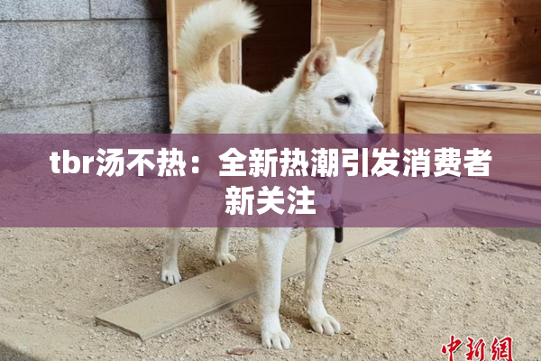 tbr汤不热：全新热潮引发消费者新关注