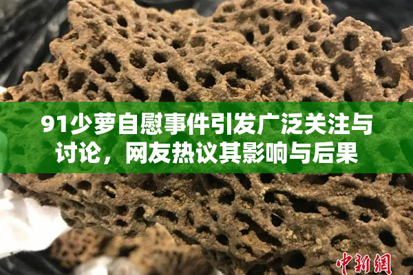 91少萝自慰事件引发广泛关注与讨论，网友热议其影响与后果