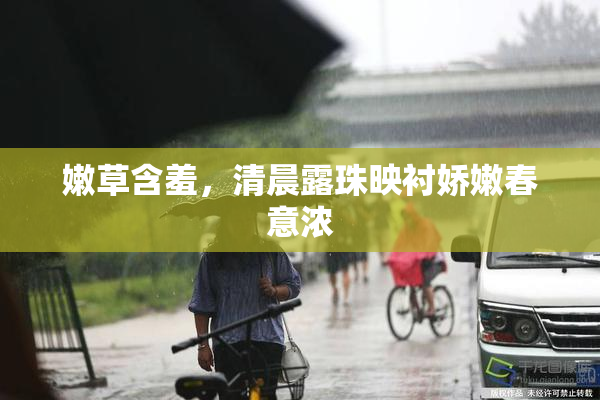 嫩草含羞，清晨露珠映衬娇嫩春意浓
