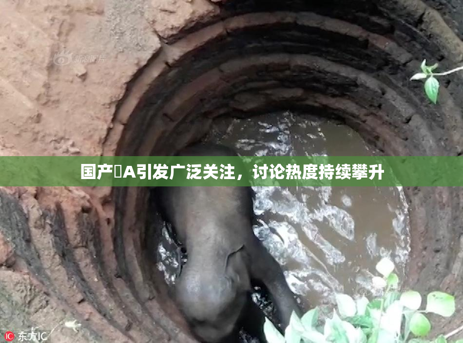 国产婬A引发广泛关注，讨论热度持续攀升