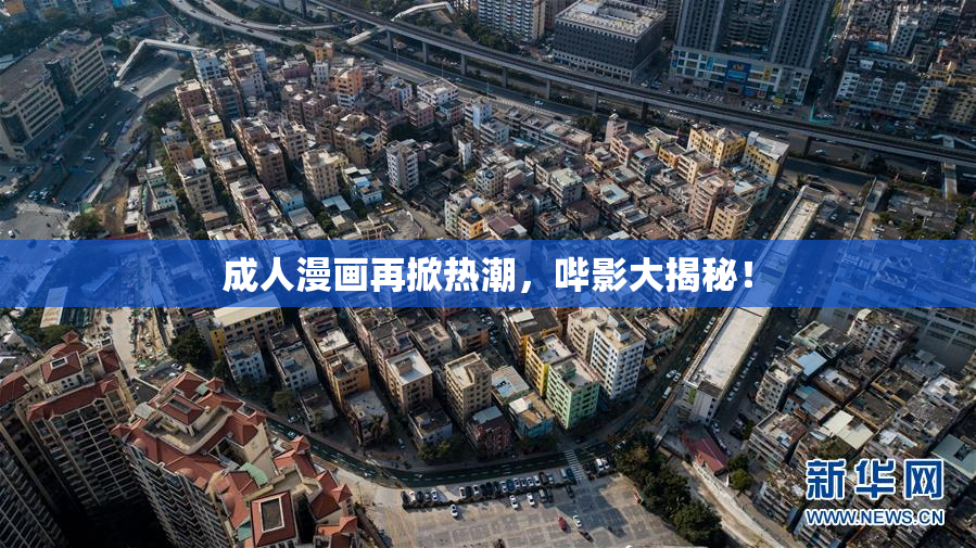成人漫画再掀热潮，哔影大揭秘！
