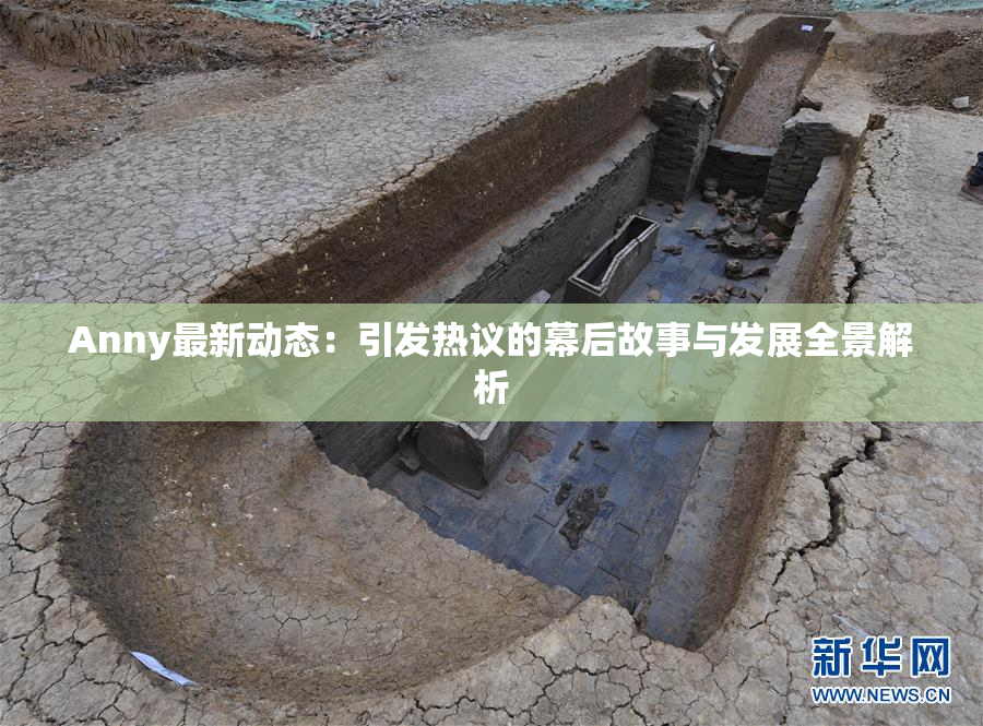 Anny最新动态：引发热议的幕后故事与发展全景解析