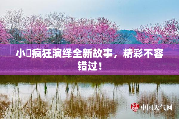 小泬疯狂演绎全新故事，精彩不容错过！