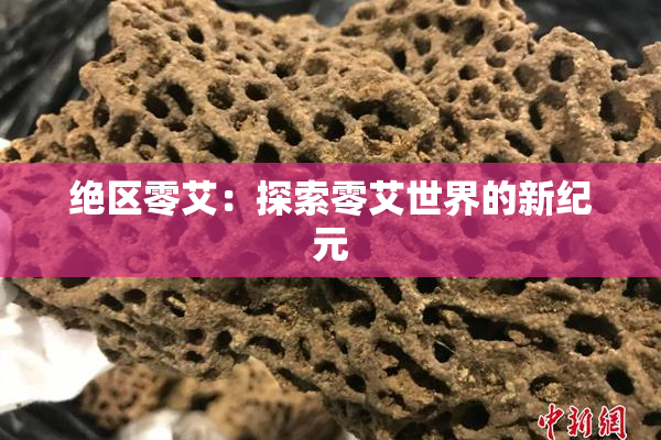 绝区零艾：探索零艾世界的新纪元