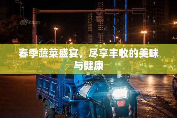 春季蔬菜盛宴，尽享丰收的美味与健康