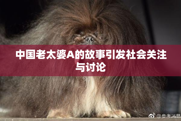 中国老太婆A的故事引发社会关注与讨论