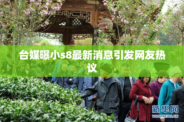 台媒曝小s8最新消息引发网友热议
